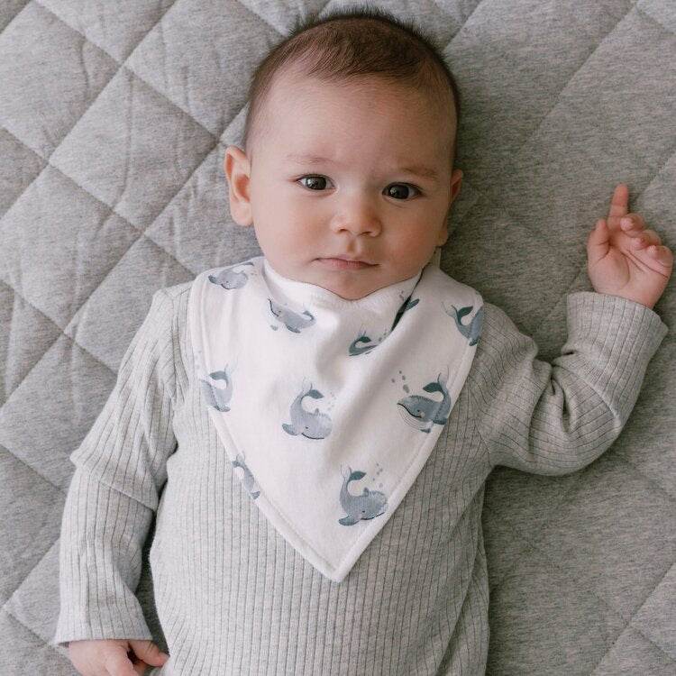 Mister Fly Dribble Bib - Whale - Image 2