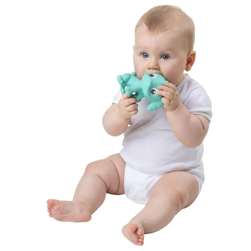 Playgro Eco Play Natural Rubber Pooky Puppy Turquoise - Image 4